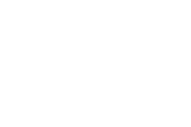 netgame